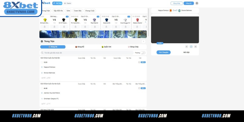 Thể thao 8XBET – Đa dạng kèo và tỷ lệ thắng cao